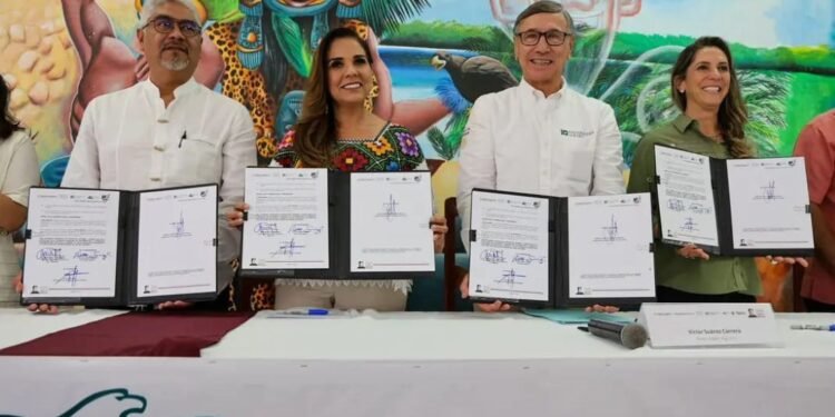 Firman convenio para frenar la deforestación en Quintana Roo