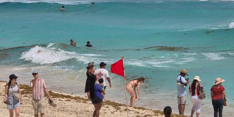 Susto en la zona hotelera: rápida acción de guardavidas evita tragedia en Playa Delfines