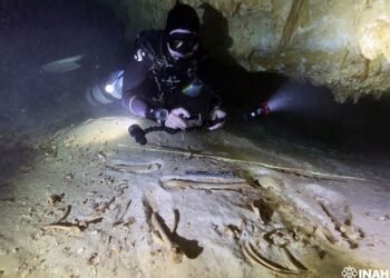 INAH resguarda fósiles de Quintana Roo para revelar historia milenaria
