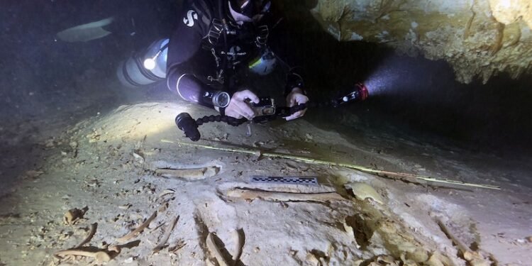 INAH resguarda fósiles de Quintana Roo para revelar historia milenaria