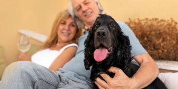 El mejor remedio tiene cuatro patas: lomitos ayudan a vivir mejor en la vejez