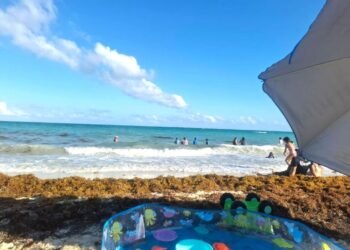 Nadando en sargazo al menos cinco municipios ante aumento de arribazón de la macro alga