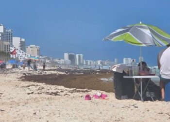 En pleno puente, el frente frío 41 deja playas con abundante recale de sargazo