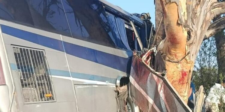 Luto en Querétaro: accidente de autobús en Amealco deja 9 muertos y decenas de lesionados