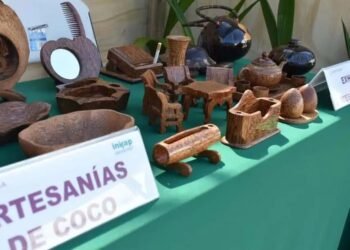 Coco, motor económico: Feria reúne a productores y artesanos este fin de semana