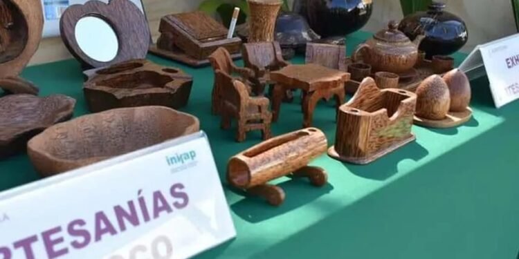 Coco, motor económico: Feria reúne a productores y artesanos este fin de semana