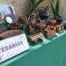 Coco, motor económico: Feria reúne a productores y artesanos este fin de semana