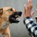 Castigarán con prisión a dueños de mascotas agresivas que dañen a personas o animales