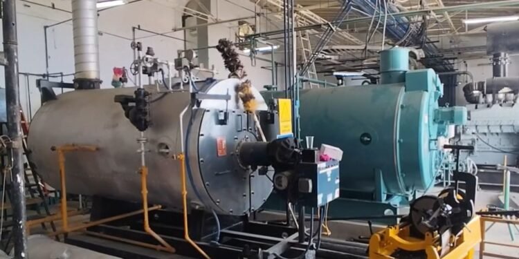 México avanza 75% en planta para frenar el gusano barrenador