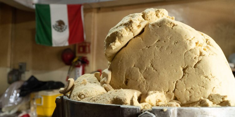 Descartan alza en tortilla; Gobierno y sector cierran filas por estabilidad de precios