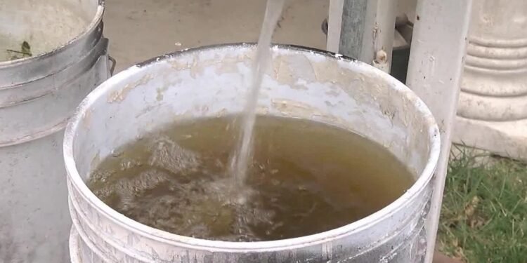 ¿Qué está pasando con el agua de Aguakan? Así es el líquido que entregan a los quintanarroenses