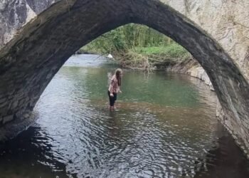 Conoce a Dippy: el ajolote mexicano que apareció donde nadie lo esperaba