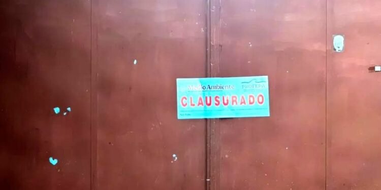 Profepa no ha sido notificada sobre amparos a Royal Caribbean