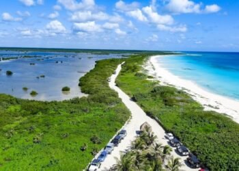 Decretan 28 polígonos en Cozumel para investigación y monitoreo a cargo de la Conanp
