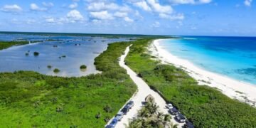 Decretan 28 polígonos en Cozumel para investigación y monitoreo a cargo de la Conanp