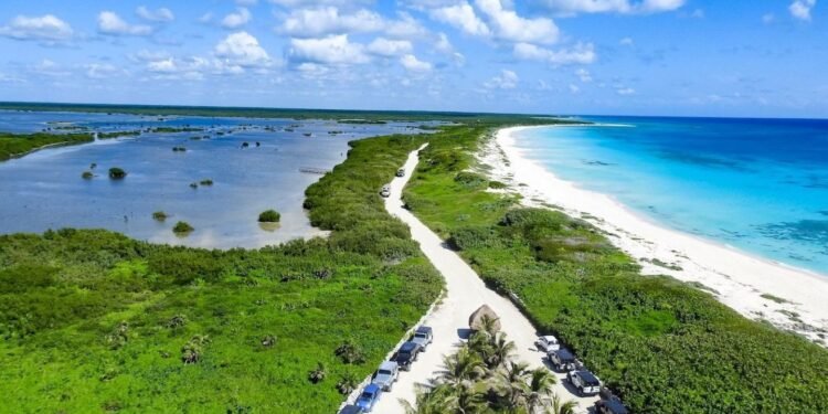 Decretan 28 polígonos en Cozumel para investigación y monitoreo a cargo de la Conanp