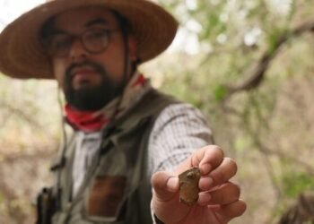 INAH registra nuevas pinturas rupestres en Hidalgo; datan de la prehistoria y el Posclásico