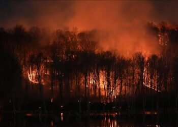 ¿Qué está pasando en Japón? Incendios forestales obligan a evacuar a miles