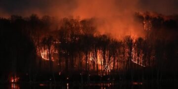 ¿Qué está pasando en Japón? Incendios forestales obligan a evacuar a miles