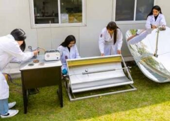 De plaga a recurso: convierten lirio acuático en energía para comunidades
