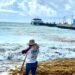 Sargazo abarata el Caribe Mexicano y acelera la erosión de las playas
