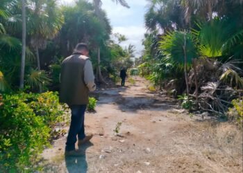 Sian Ka’an bajo presión por turismo y expansión inmobiliaria, advierten Profepa y Conanp