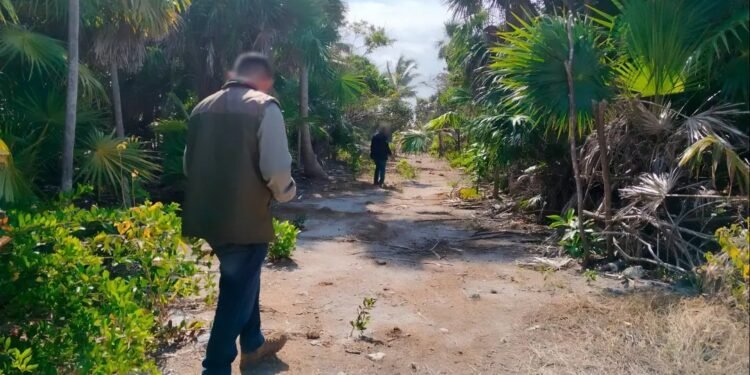 Sian Ka’an bajo presión por turismo y expansión inmobiliaria, advierten Profepa y Conanp