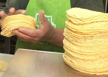 Gobierno descarta aumento en precio de la tortilla, no obstante en Cancún ya le subieron