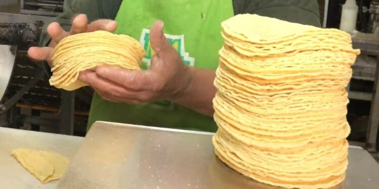 Gobierno descarta aumento en precio de la tortilla, no obstante en Cancún ya le subieron