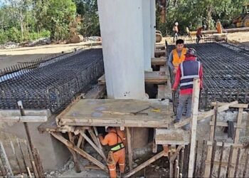 Llaman a dar marcha a atrás al tren de carga