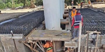Llaman a dar marcha a atrás al tren de carga