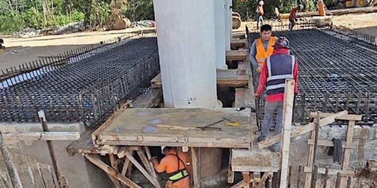 Llaman a dar marcha a atrás al tren de carga