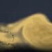 Polvo del Sahara invade el sureste mexicano; alertan por afectaciones respiratorias