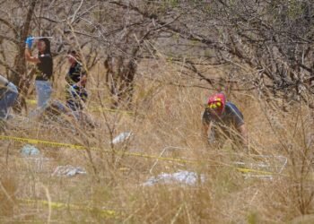 Luto en Amatlán: accidente deja al menos 11 muertos y decenas de lesionados