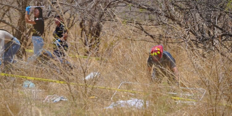 Luto en Amatlán: accidente deja al menos 11 muertos y decenas de lesionados