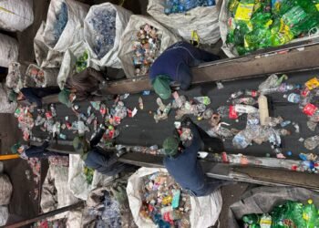 ¿Qué pasa con una botella después de usarla? Así crece la apuesta de Coca-Cola FEMSA por el reciclaje