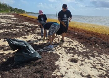 ¿Te sumas a limpiar el paraíso? Convocan a jornada ambiental en Puerto Morelos