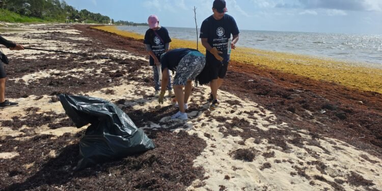 ¿Te sumas a limpiar el paraíso? Convocan a jornada ambiental en Puerto Morelos