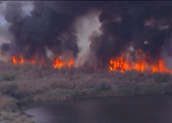 Infierno en Arizona: incendio Hazen devora más de mil acres y sigue imparable