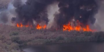 Infierno en Arizona: incendio Hazen devora más de mil acres y sigue imparable