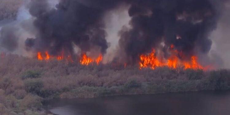 Infierno en Arizona: incendio Hazen devora más de mil acres y sigue imparable