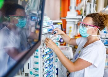 ¿Debes preocuparte? Detectan en Europa la cepa más agresiva del hantavirus