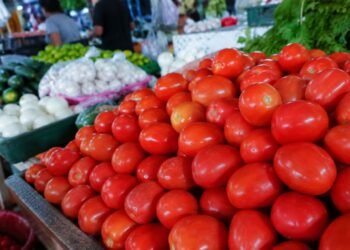 ¿Dónde conviene comprar el jitomate? Estas son las acciones del gobierno para bajar los precios