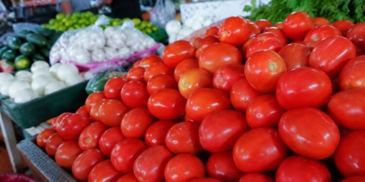 ¿Dónde conviene comprar el jitomate? Estas son las acciones del gobierno para bajar los precios