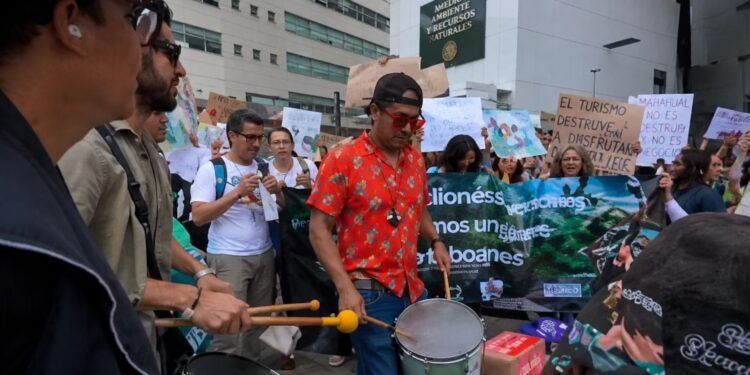 ¿Ya frenaron Perfect Day? Ambientalistas bloquean y exigen una cancelación firmada para Mahahual