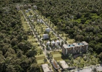 Freno a desmontes ilegales: clausuran 10 desarrollos irregulares en Puerto Morelos