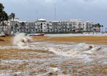 Toneladas de sargazo cubren Playa del Carmen; así está impactando