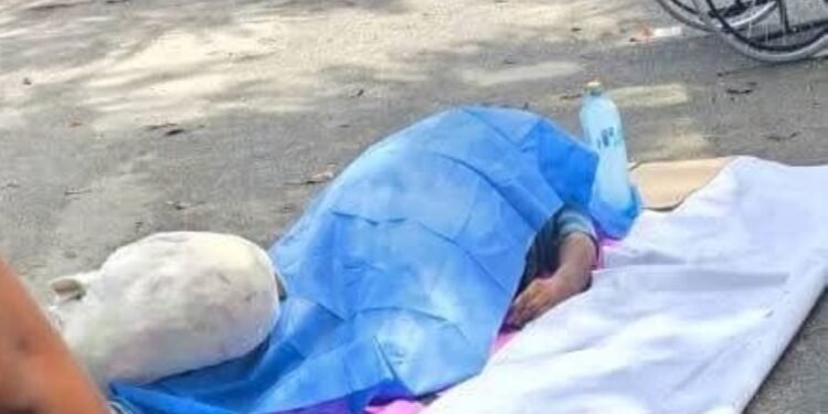 Fue una escena triste: muere abuelito mientras esperaba recibir despensa y su perrito lo cuidó