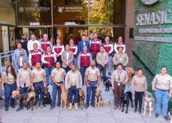 Mundial 2026 tendrá “escuadrón canino” en Cancún: ¿cuál será su objetivo?