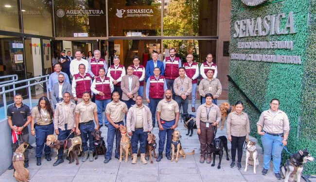 Mundial 2026 tendrá “escuadrón canino” en Cancún: ¿cuál será su objetivo?